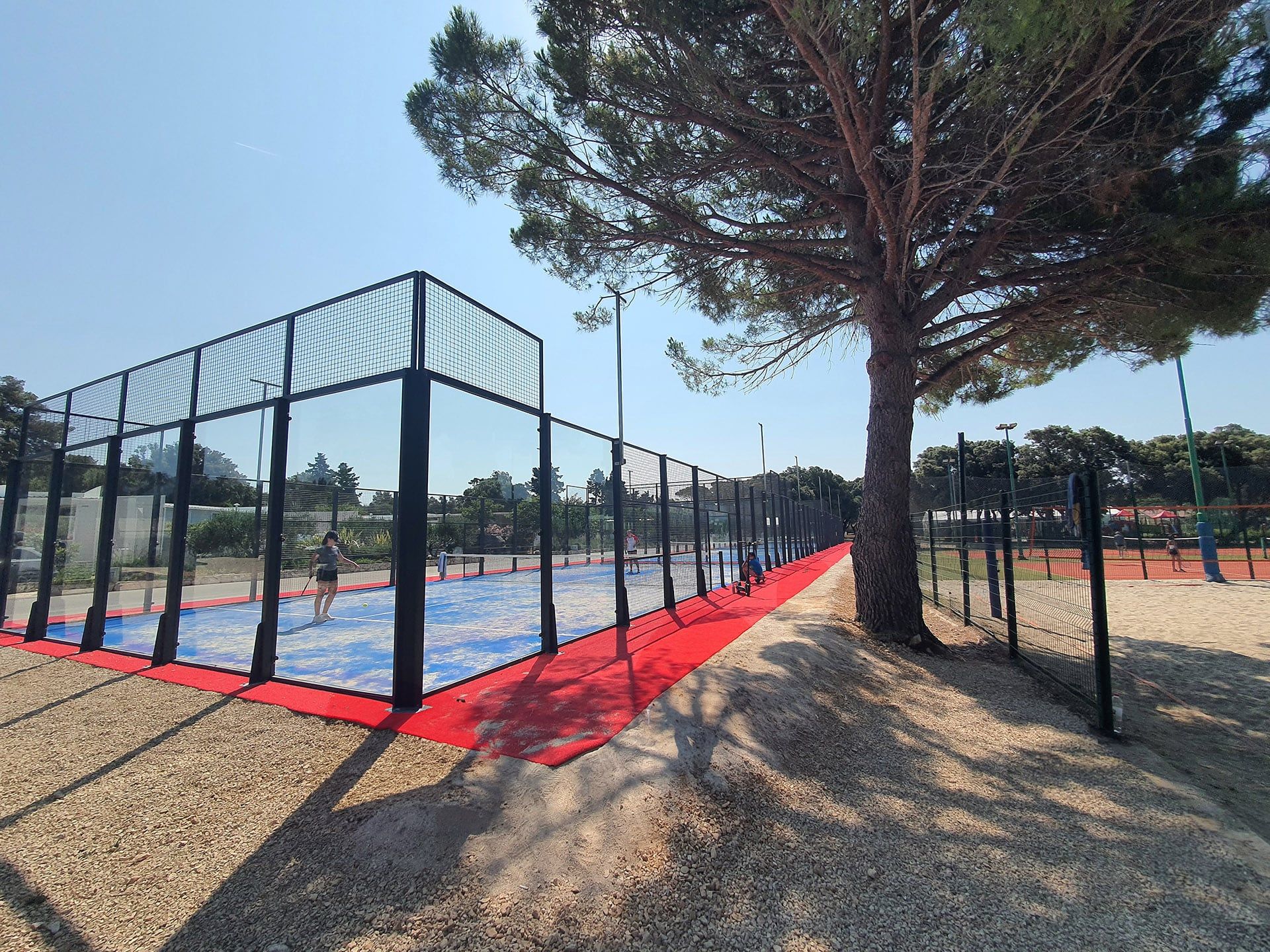 Padel teren u hladu borova