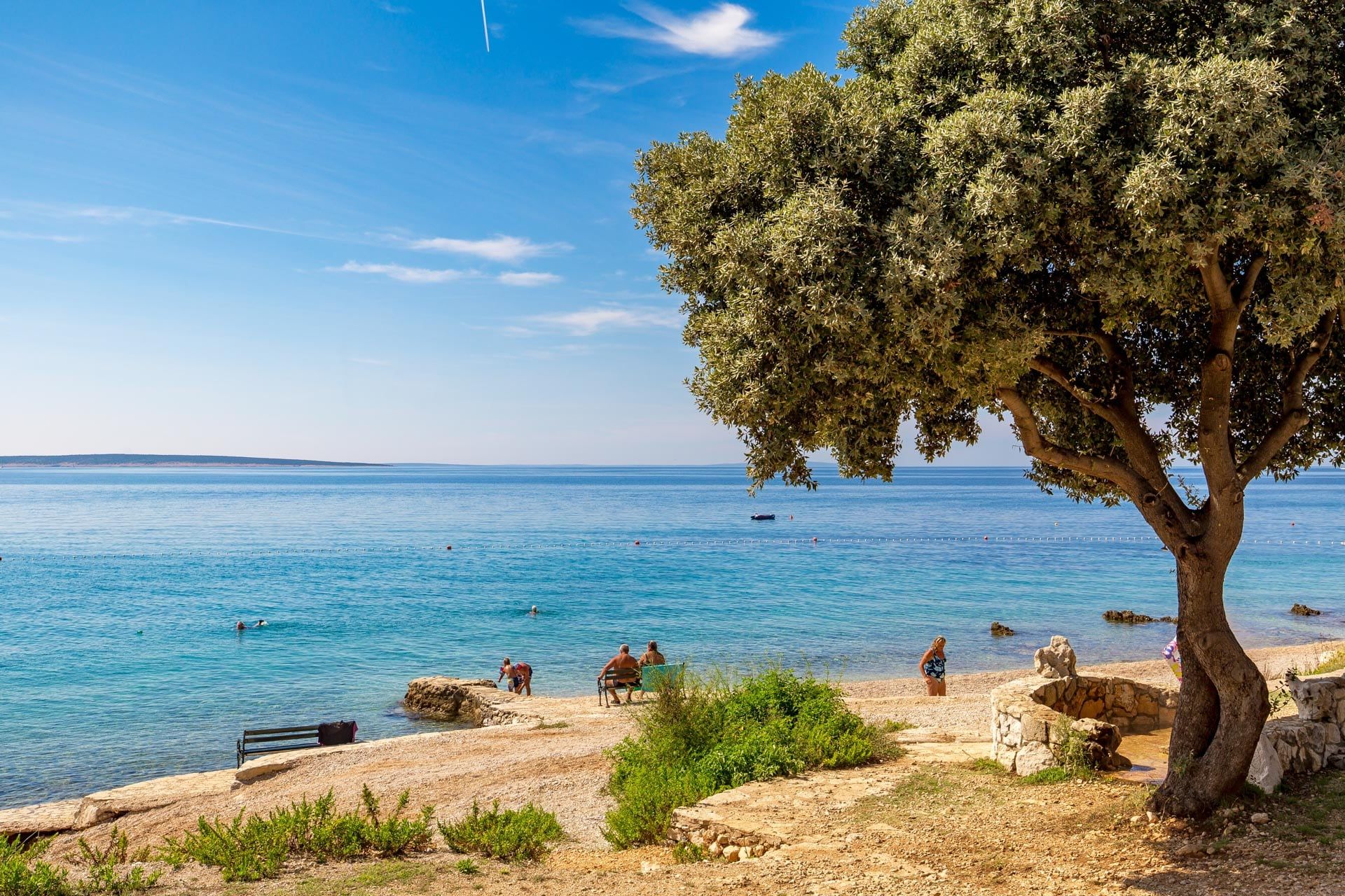 Stablo uz plažu, prozirno plitko more i kupači
